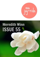 meredith winn_cover
